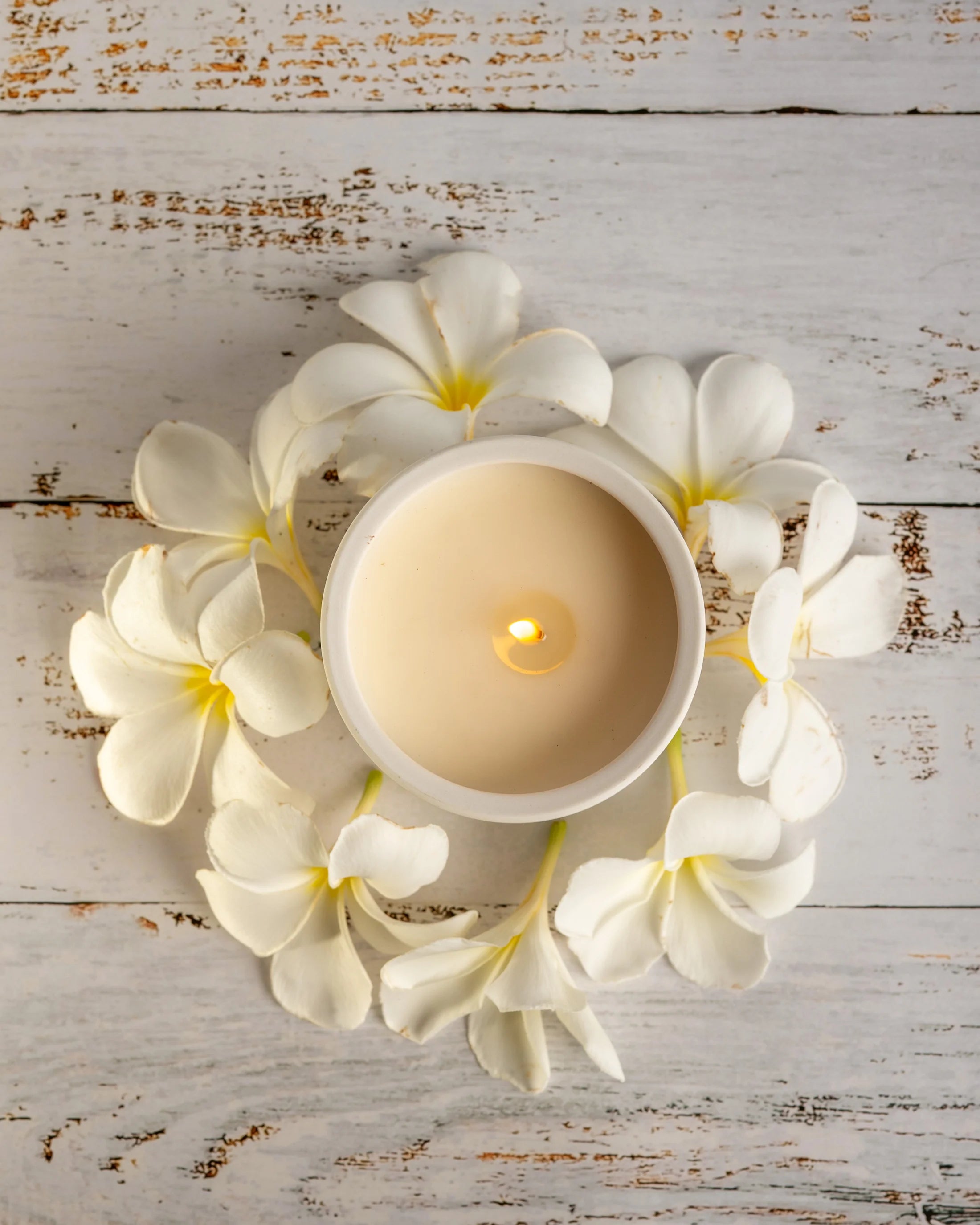 Palms & Pineapple Ceramic Tropical Candle - Frangipani