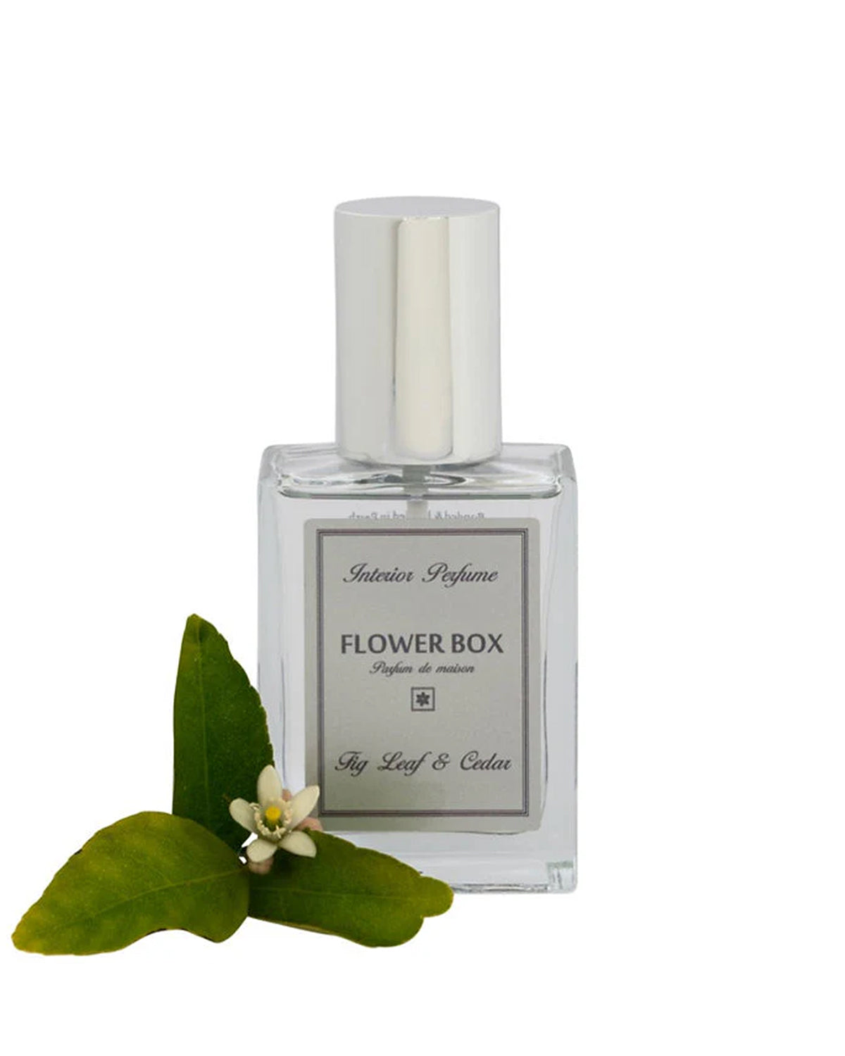 Flower Box Interior Perfume (100ml) - Fig Leaf & Cedar