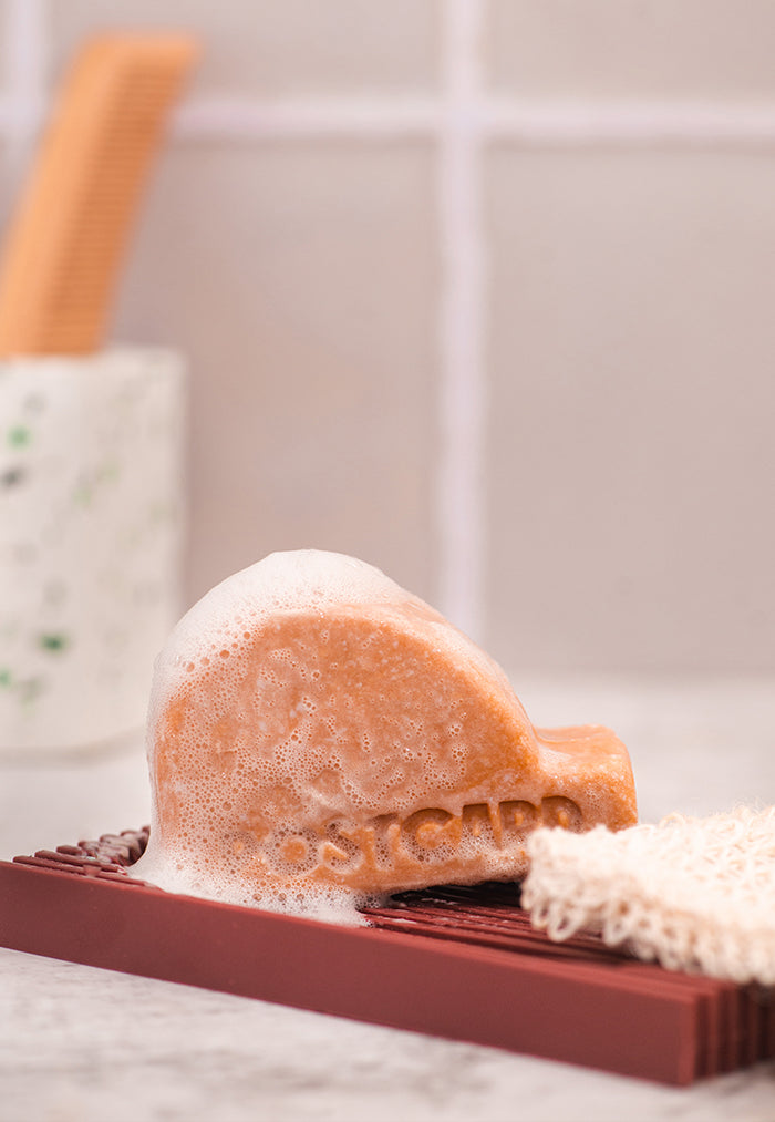 POSTCARD Citrus Circus Head to Toe Cleansing Bar