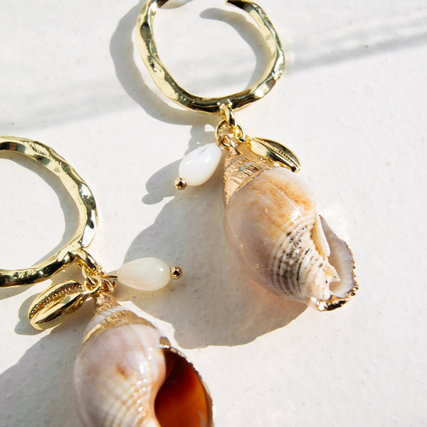 Conch hot sale shell earrings