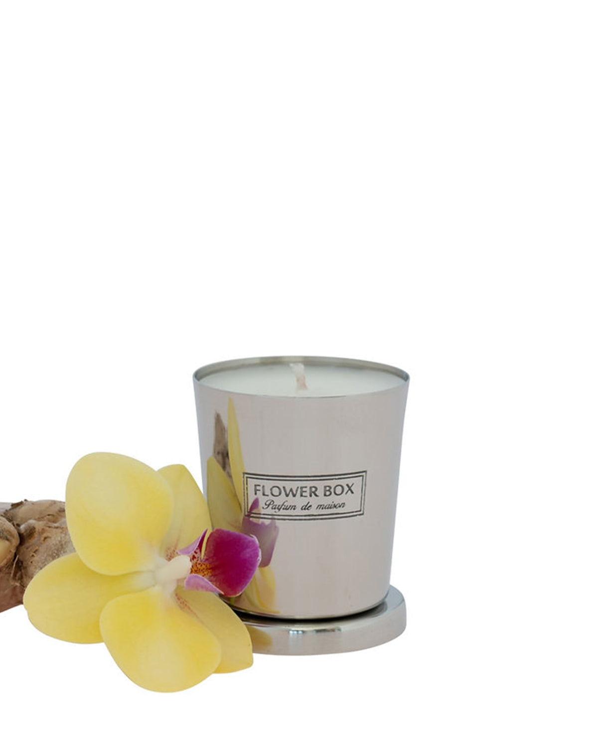 Flower Box Mini Candle (80g) - Amber Orchid