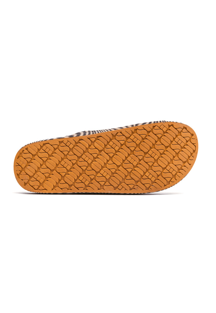Freedom Moses Zazu Sol Slides