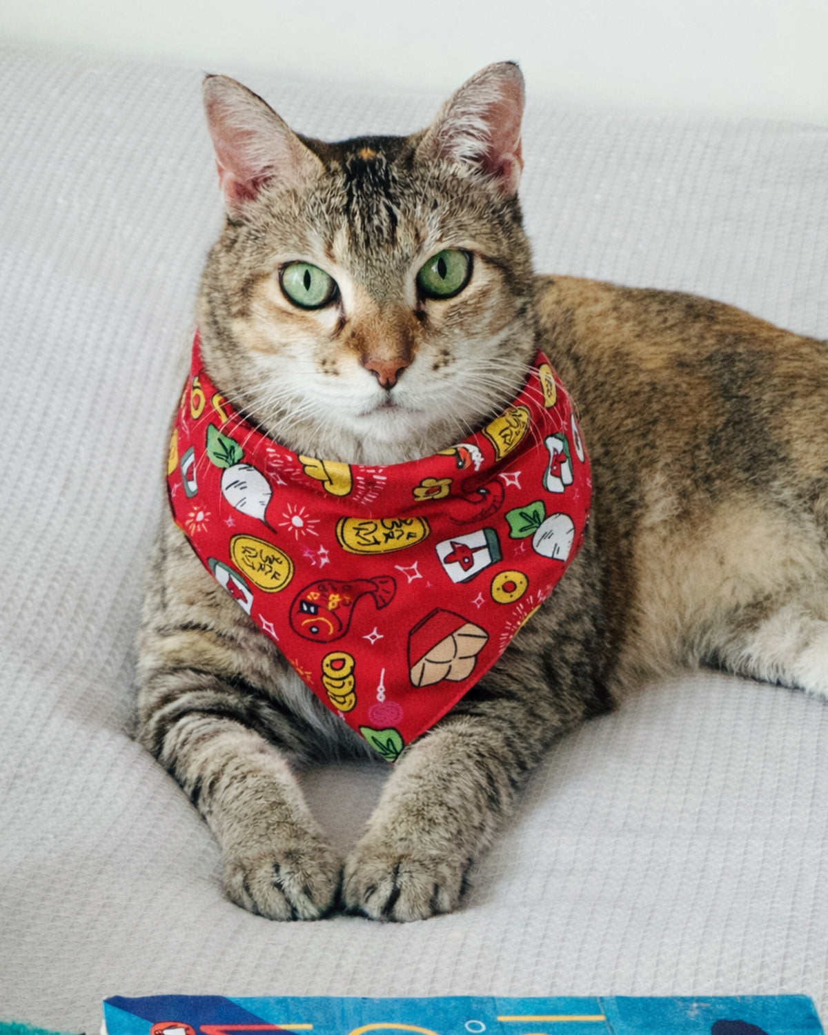 GC Pets Pawsperity Bandana
