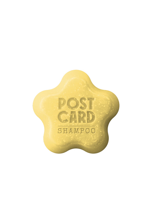 POSTCARD Coconut Beach Solid Shampoo Bar