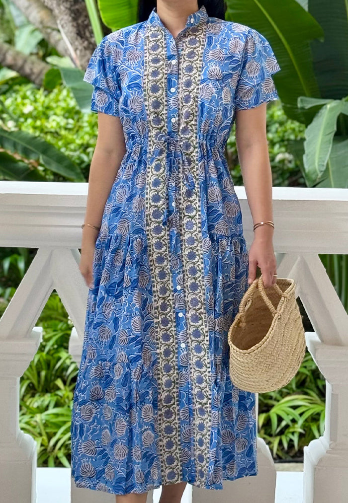 Vine and Branches Debra Dress - Blue Meadows